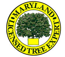 License Expert Maryland